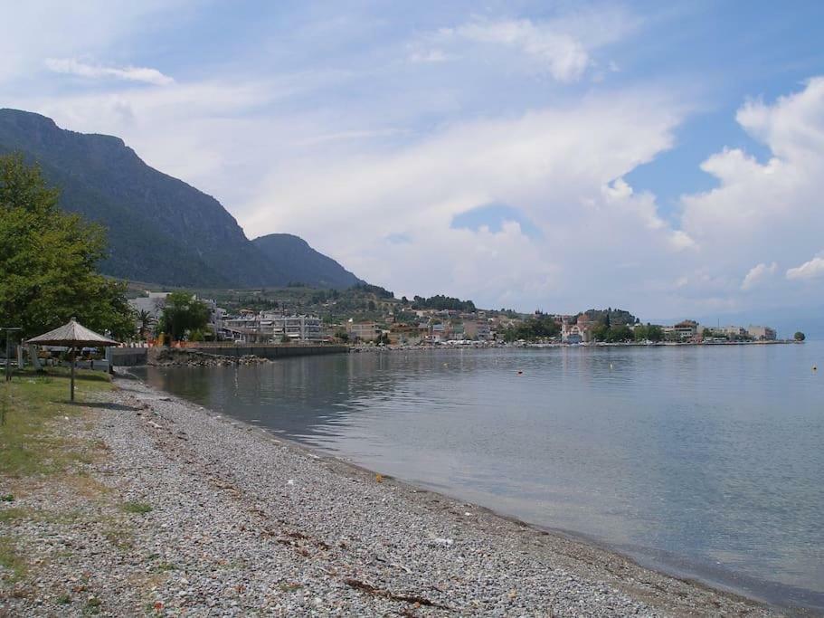 Anastasia - Efthimios Apartments Agios Konstantinos  Zewnętrze zdjęcie