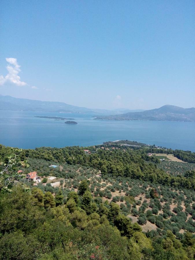 Anastasia - Efthimios Apartments Agios Konstantinos  Zewnętrze zdjęcie